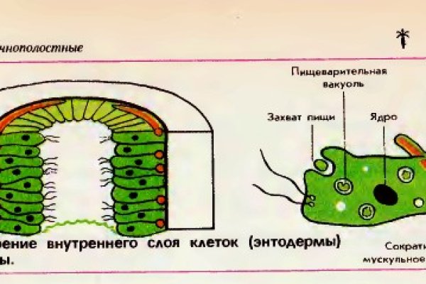 Кракен зеркало сайта