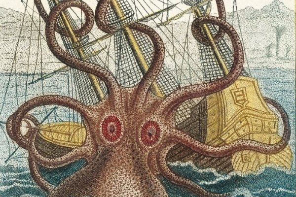 Kraken url