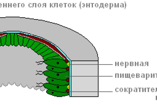 Кракен перестал работать