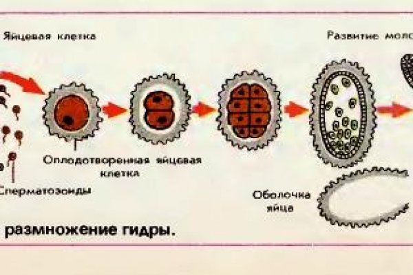 Кракен нет