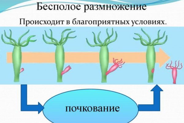 Кракен мп