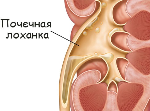 Зайти на кракен